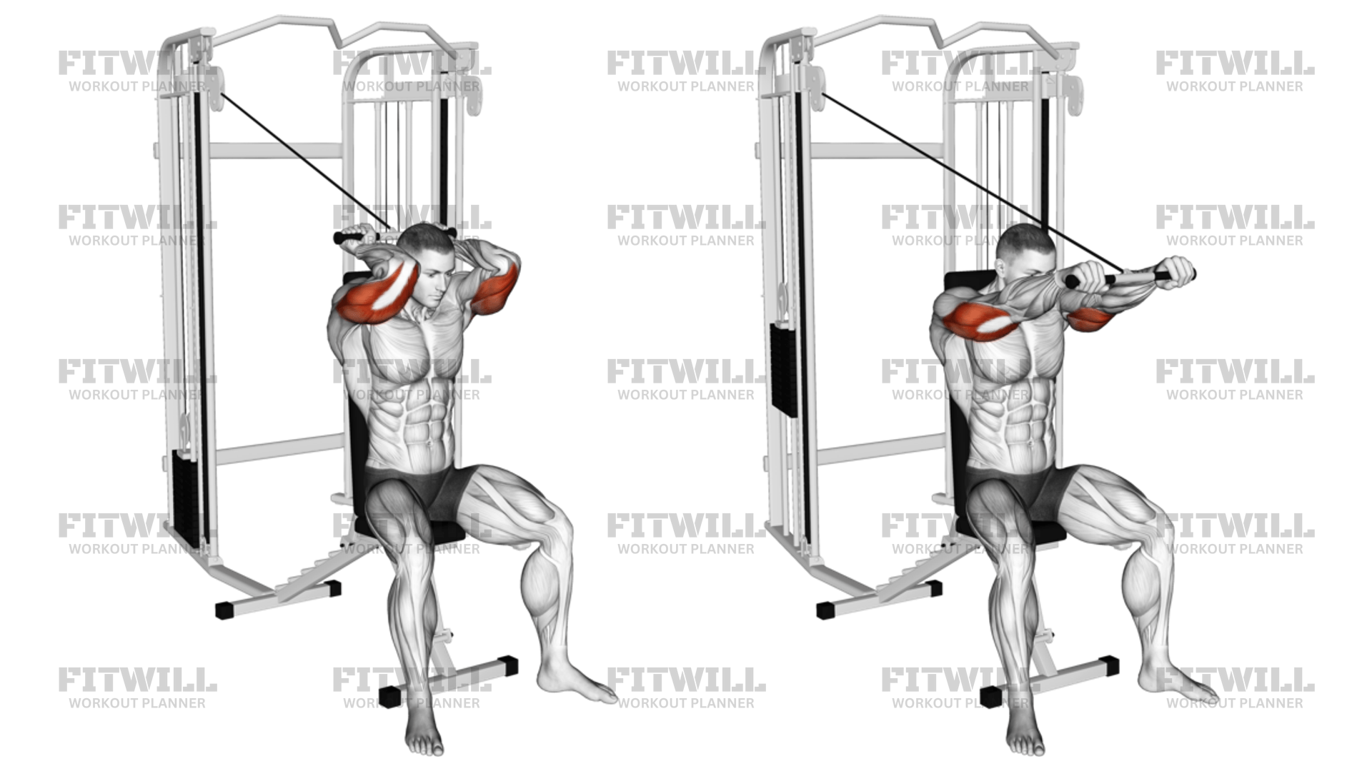 Cable Seated High Pulley Overhead Triceps Extension Exercise Video Fitwill