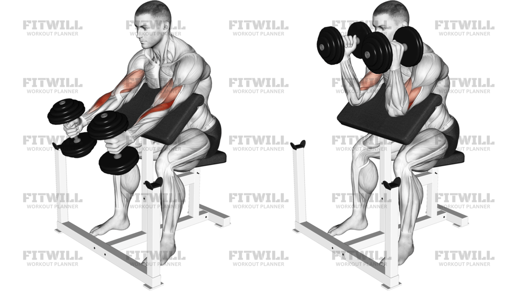Dumbbell Hammer Preacher Curl