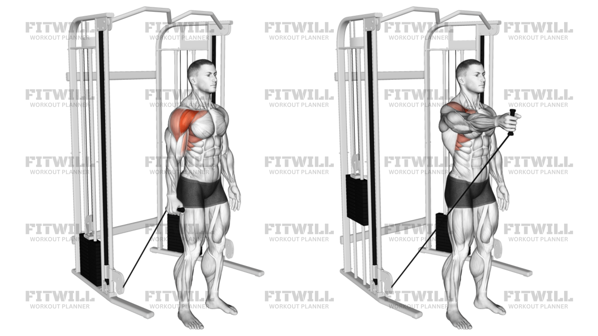 Single arm cable front raise sale