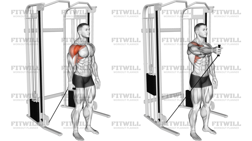 Cable Single-Arm Neutral Grip Front Raise
