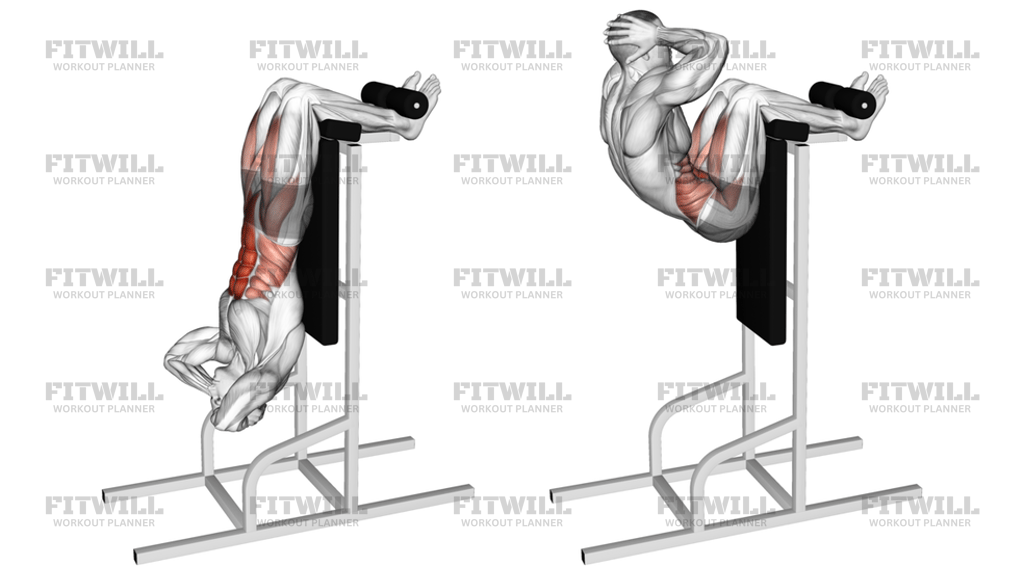 Abdominal Vertical: Guia de Exercícios, Vídeo, Técnicas, Benefícios ...