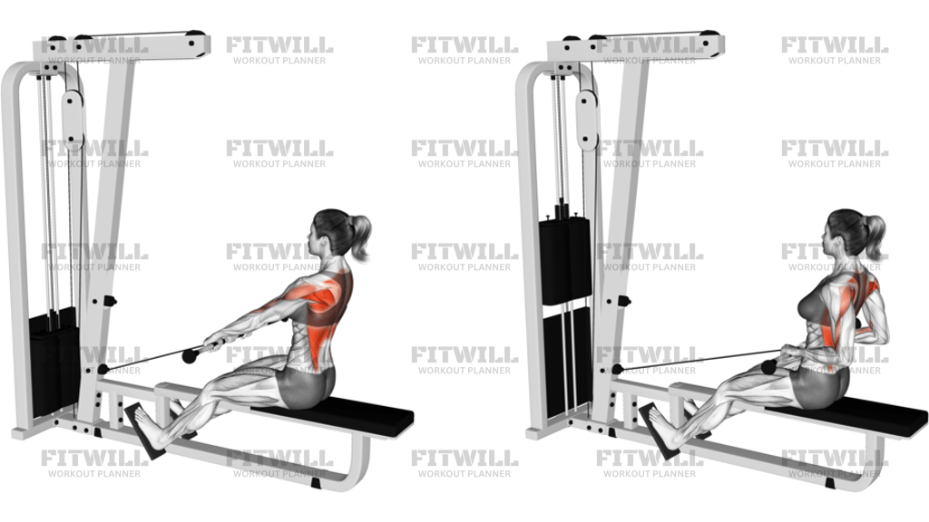 Cable Low Seated Row