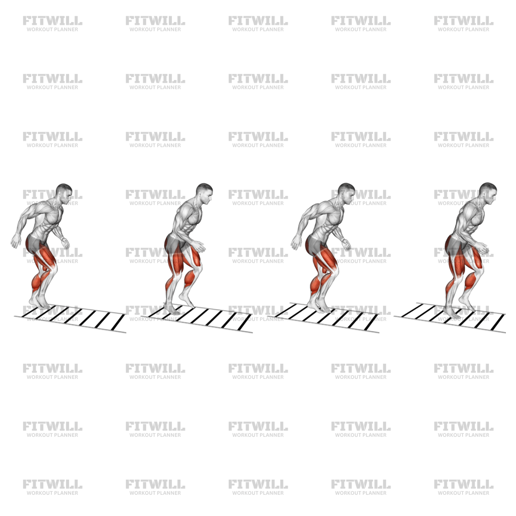 Ladder Drill: Exercise Guide, Techniques, Benefits, How to, Muscles ...