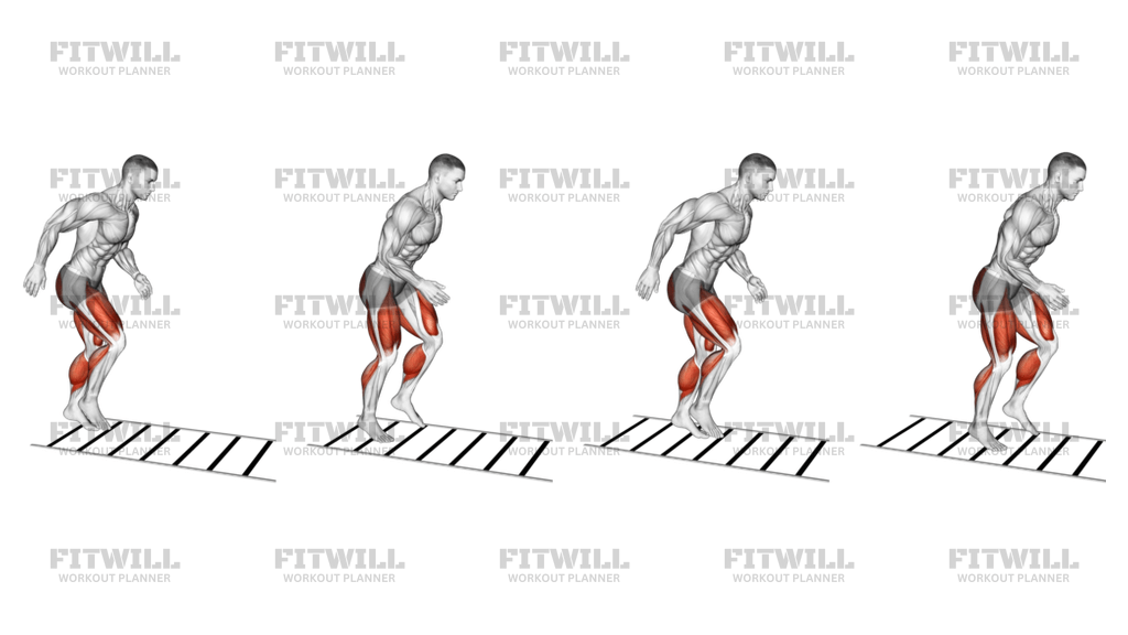 Ladder Drill: Exercise Guide, Techniques, Benefits, How to, Muscles ...