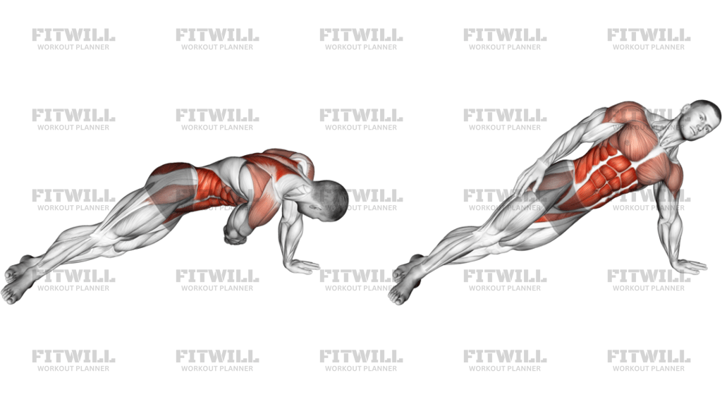 Side Plank Pull