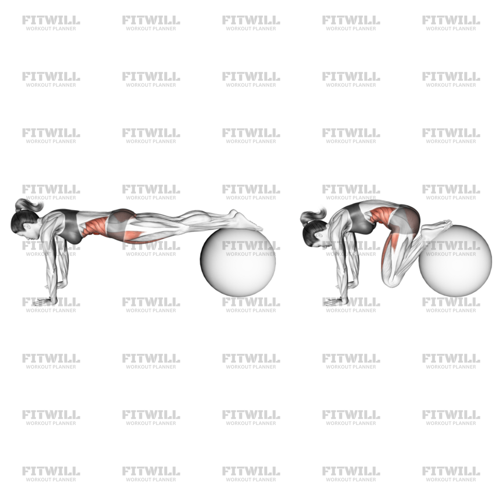 Exercise ball pull in sale