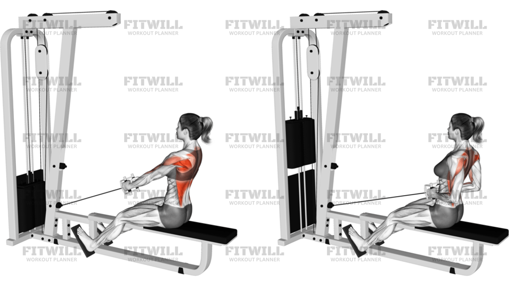 Cable Low Seated Row With V-Bar