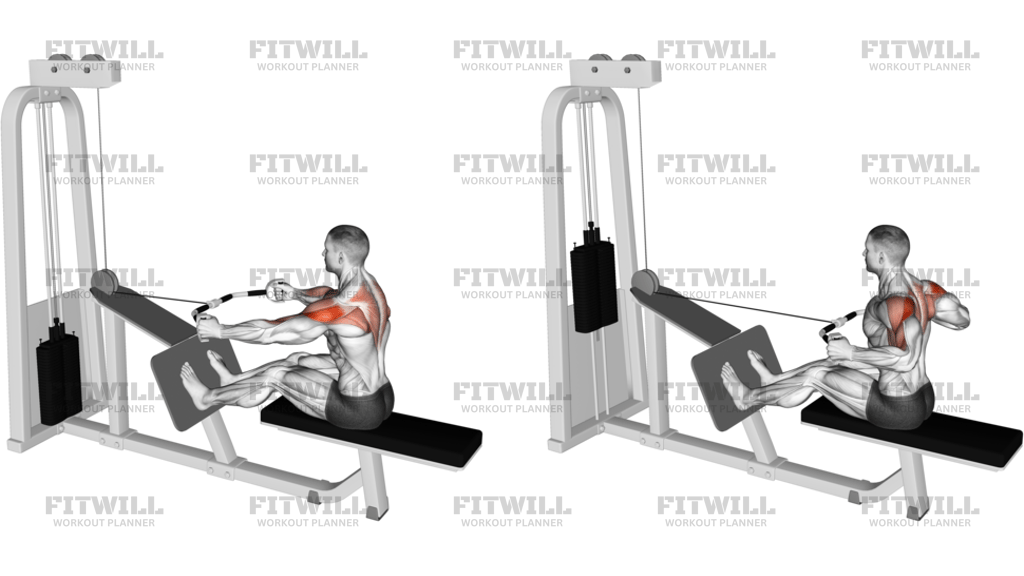 Cable Rear Delt Row Parallel Bar