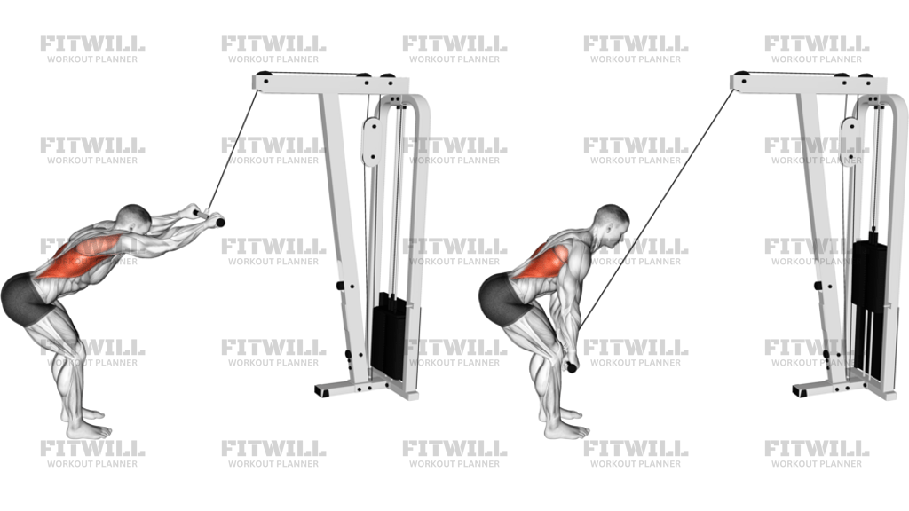 Cable Straight Arm Pulldown Version 2