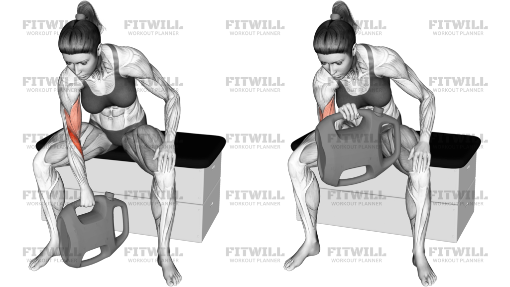 Bottle Weighted Reverse-Grip Concentration Curl