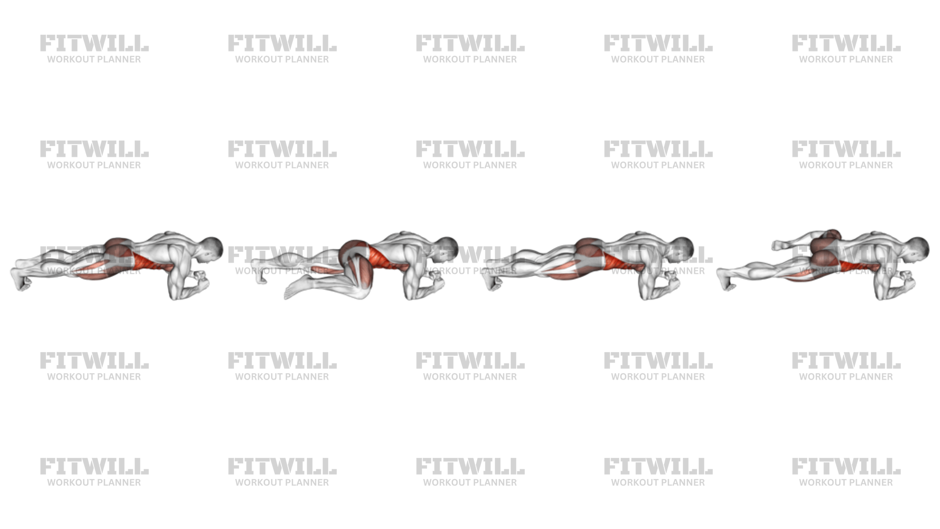 Spider plank exercise hotsell
