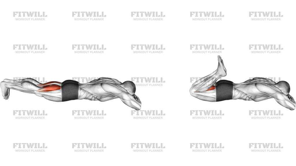 Leg Curl A Corpo Libero Prono
