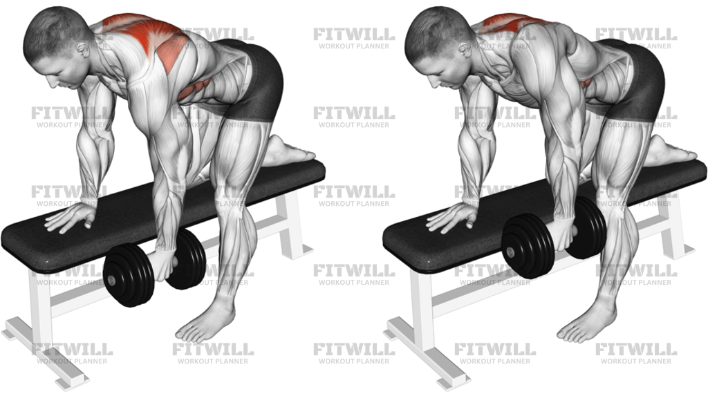 Dumbbell Bent-Over Scapula Row