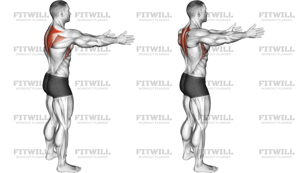 Bodyweight Standing Scapula Row