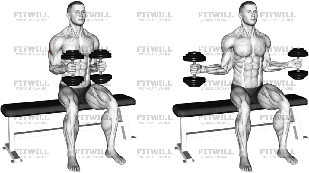 Dumbbell Seated External Rotation