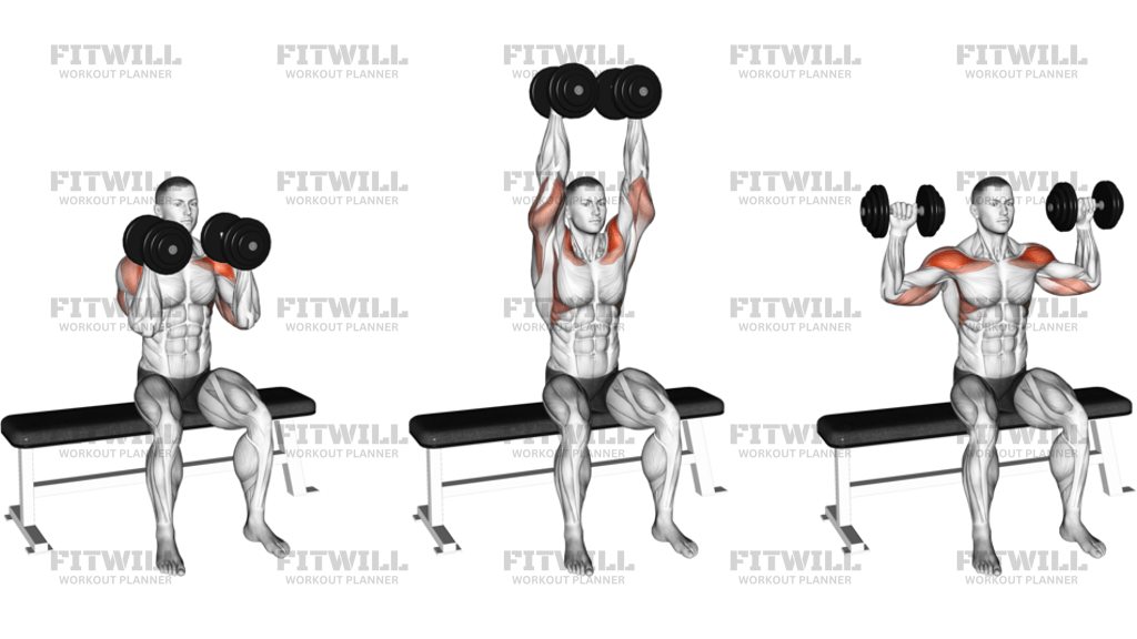 Dumbbell Seated Reverse Arnold Press