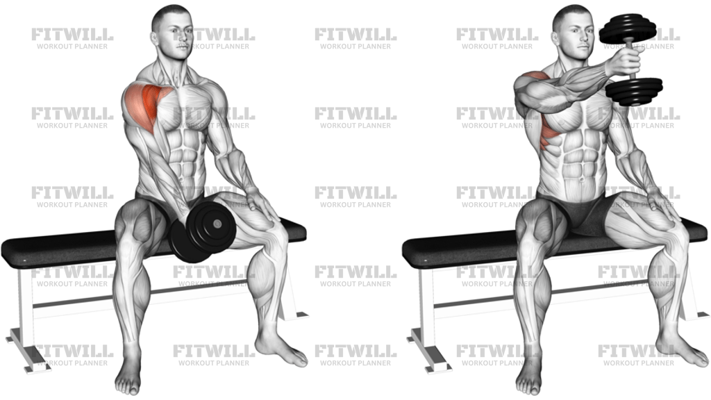 Dumbbell Seated Single-Arm Front Raise