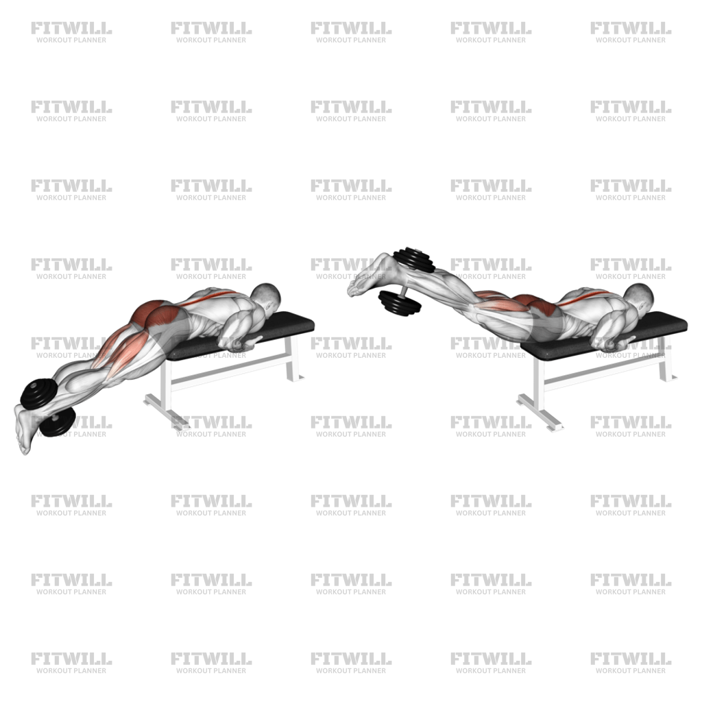 Hyperextension dumbbell sales
