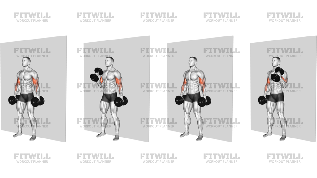 Dumbbell Alternate Hammer Srtict Curl