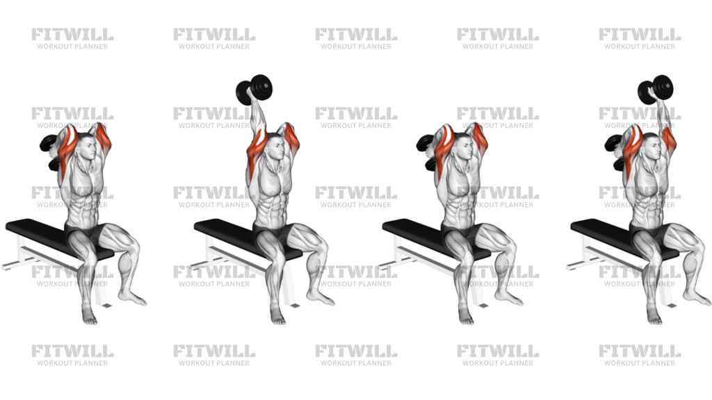 Dumbbell Seated Alternate Overhead Triceps Extension