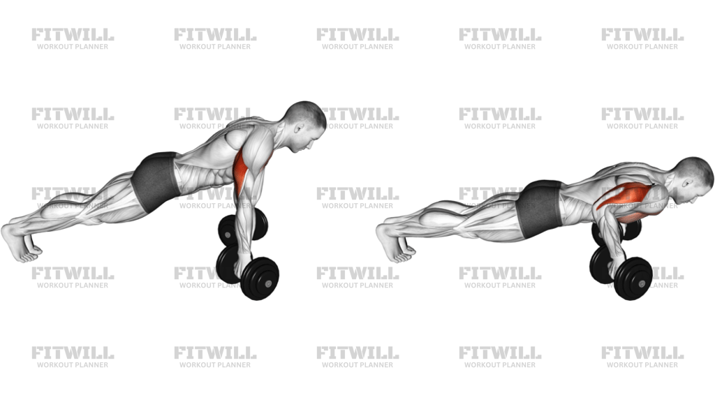 Dumbbell Reverse Push-Up