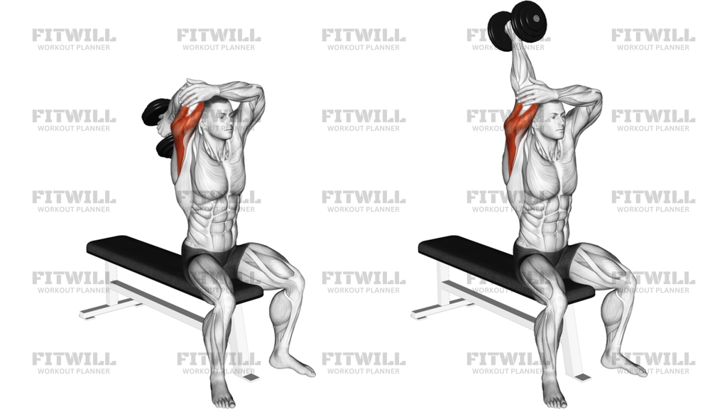 Dumbbell Seated Single-Arm Overhead Triceps Extension