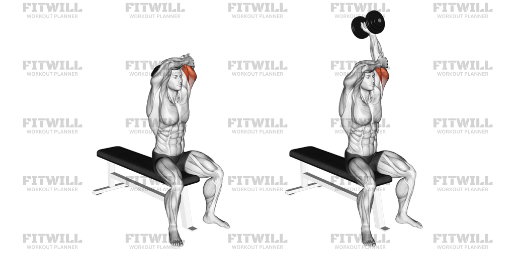Dumbbell Seated Single Arm Overhead Triceps Extension (left): Exercise ...
