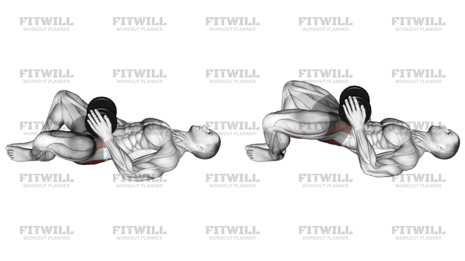 Dumbbell Frog Hip Thrust Exercise Video Fitwill