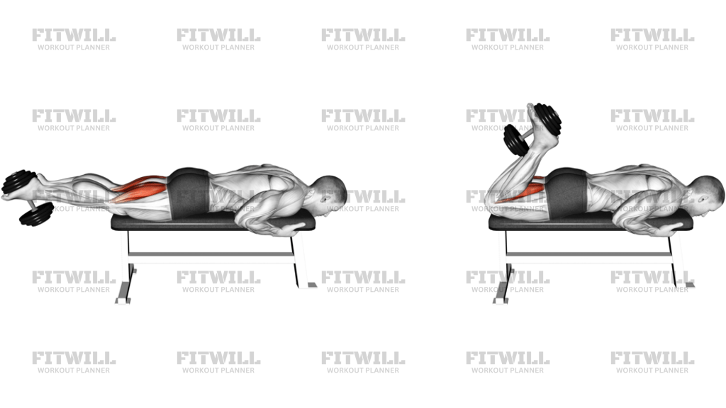 Dumbbell Hamstring Curl