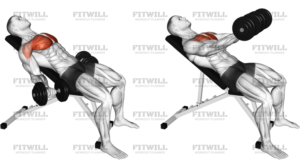 Dumbbell Incline Low Fly