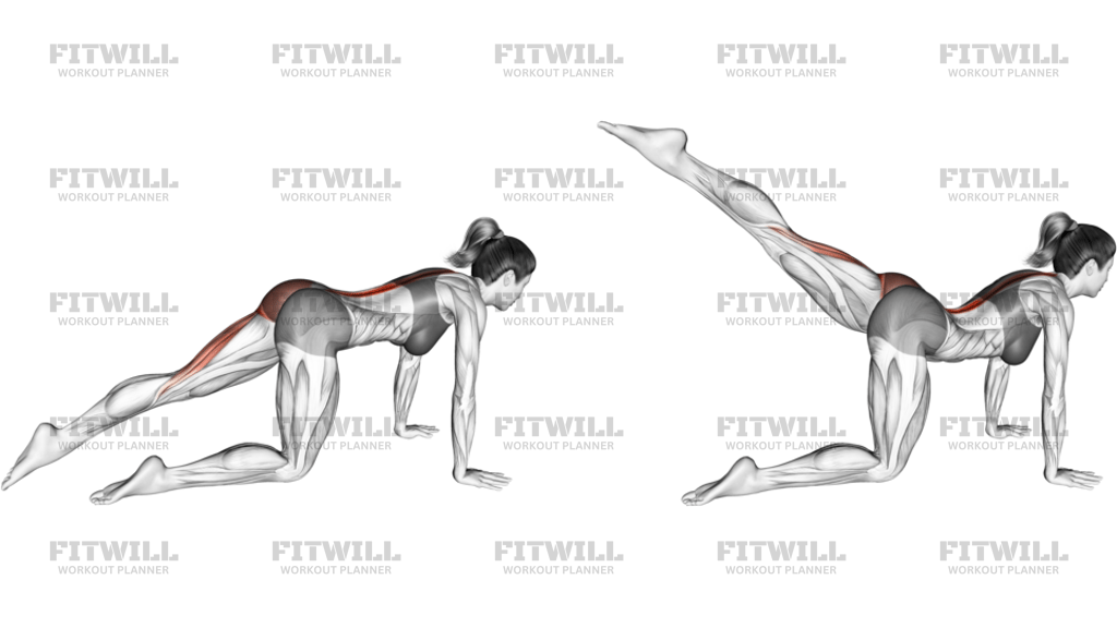 Kneeling Straight Leg Kickback Version 2 Left Side