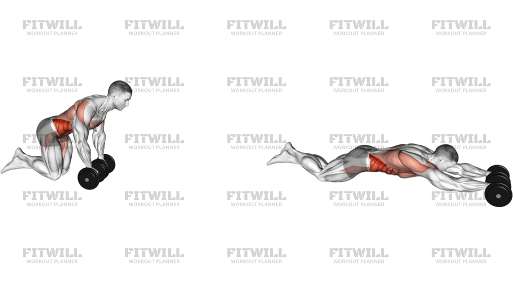 Dumbbell Rollout