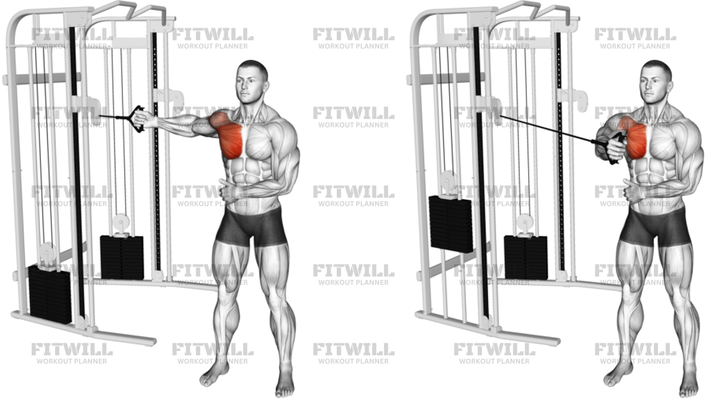Cable Standing Single-Arm Fly