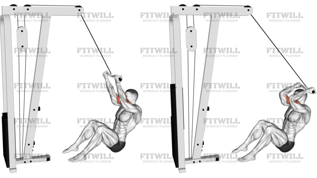 Cable Seated Overhead Curl SZ Bar
