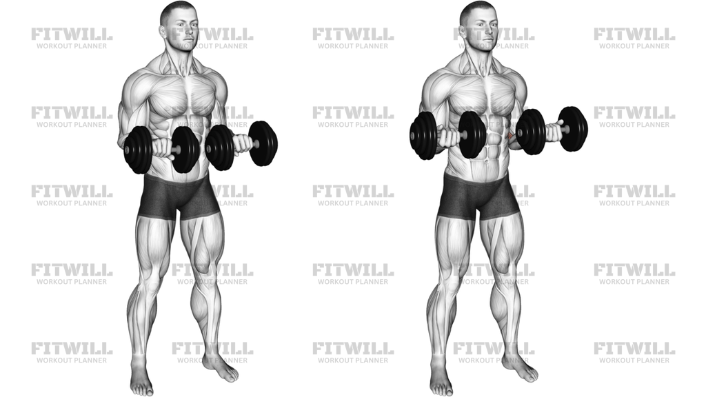 Dumbbell Standing Arms Rotate