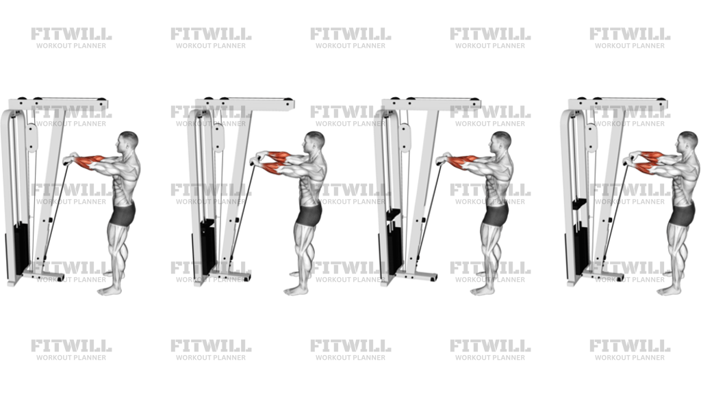 Cable Standing Wrist Roll