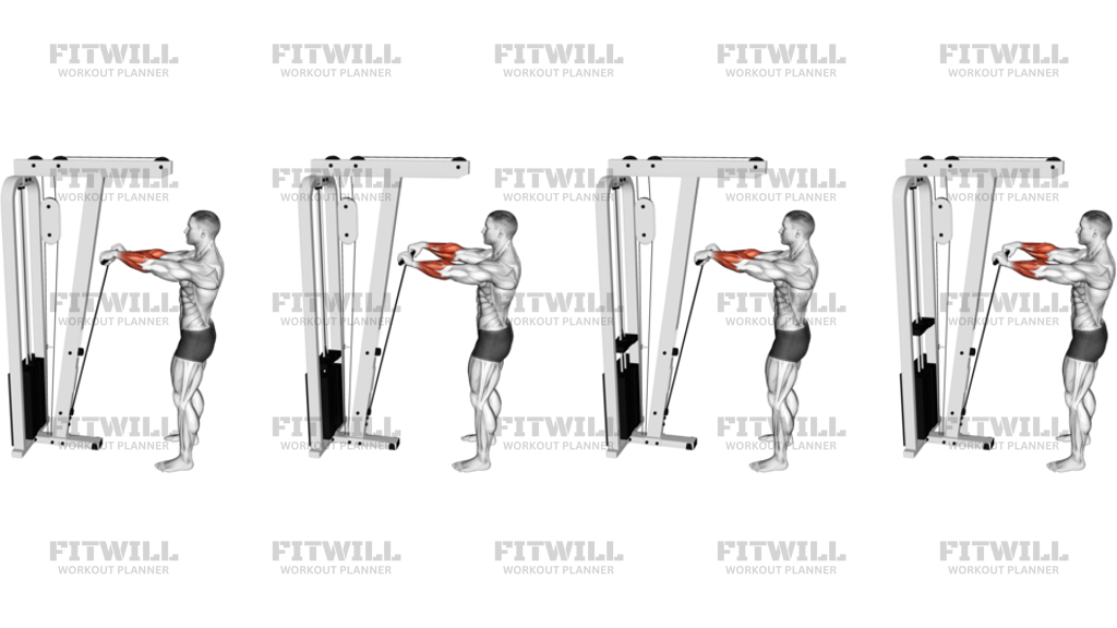 Cable Standing Wrist Roll