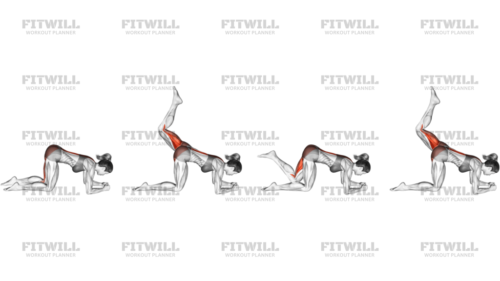 Basic To Cross Donkey Kick