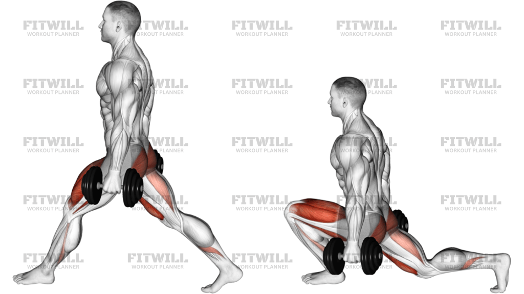 Dumbbell Low Split Squat
