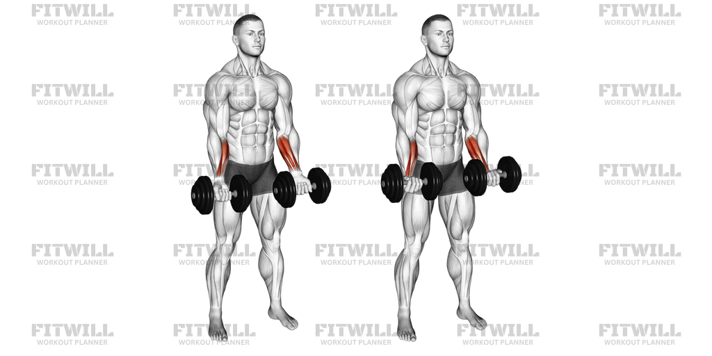 Standing wrist curl sale