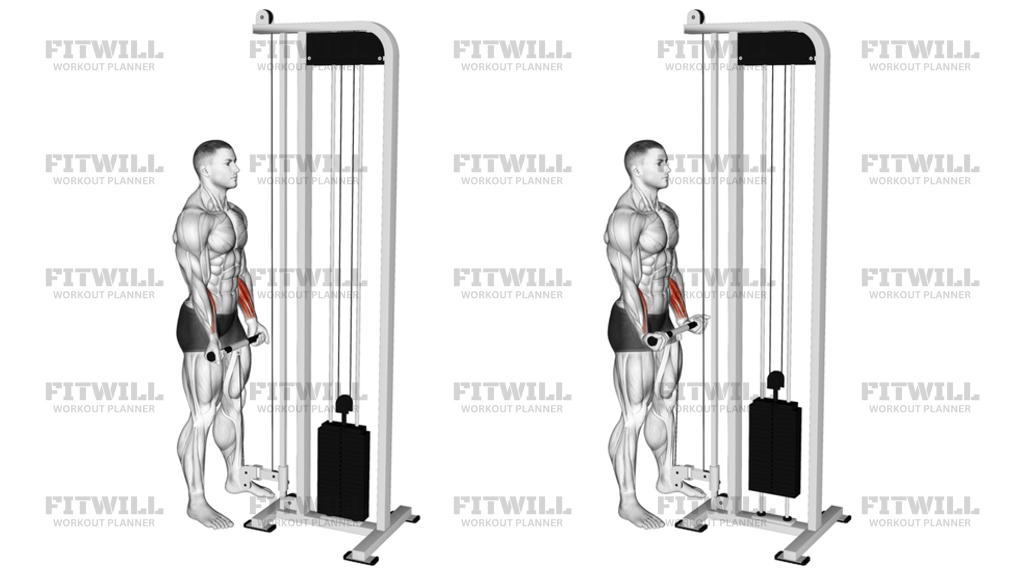 Cable Standing Wrist Curl