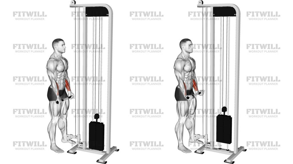 Cable Standing Wrist Curl