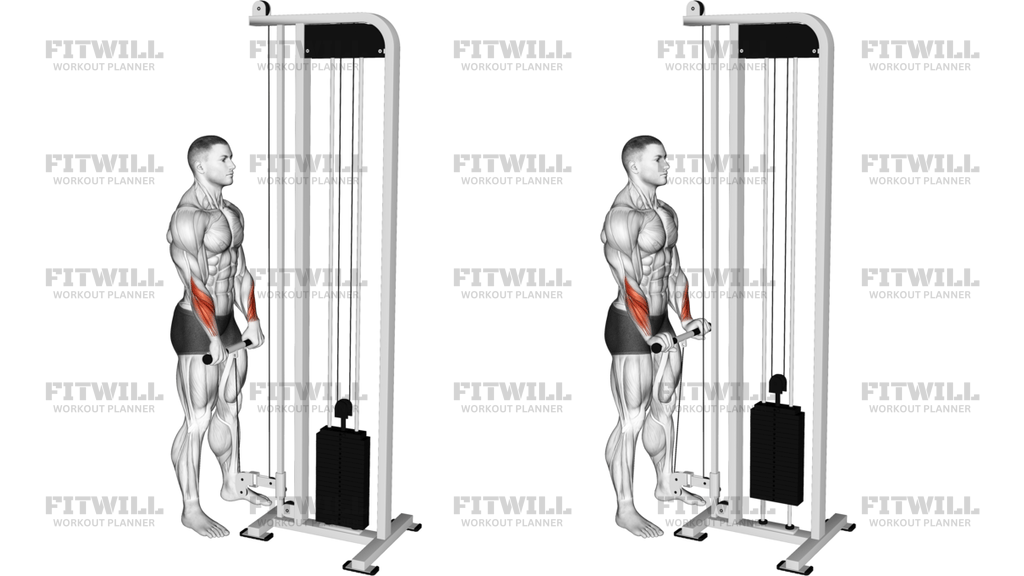 Cable Standing Wrist Reverse Curl