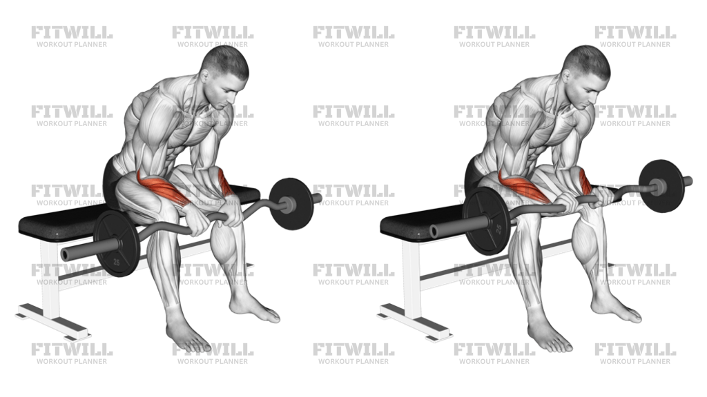 Reverse curl ez bar sale
