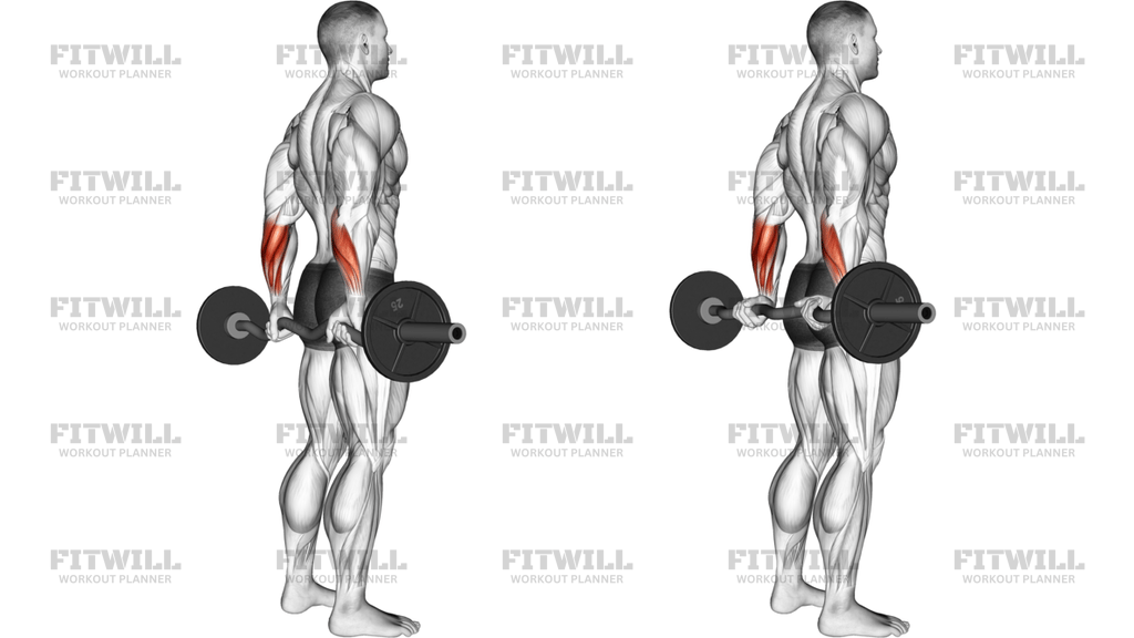 EZ Barbell Standing Back Wrist Curl
