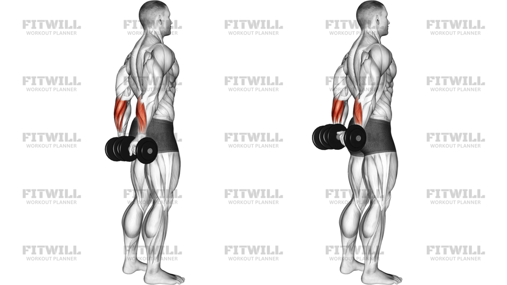 Dumbbell Standing Back Wrist Curl