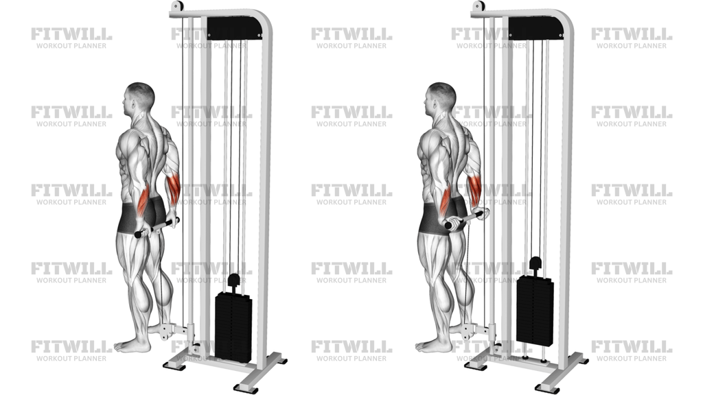 Cable Standing Back Wrist Curl