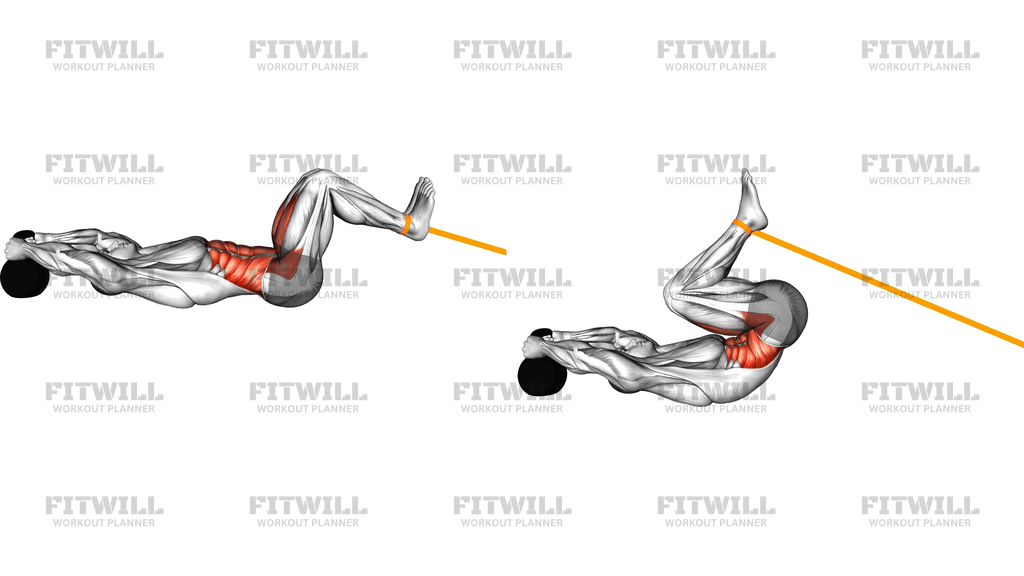 Resistance Band Reverse Crunch Version 2
