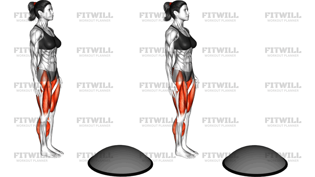 Bosu Ball Step Up High Knee