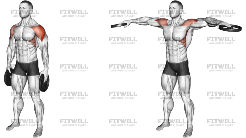 Weighted Plate Standing Lateral Raise